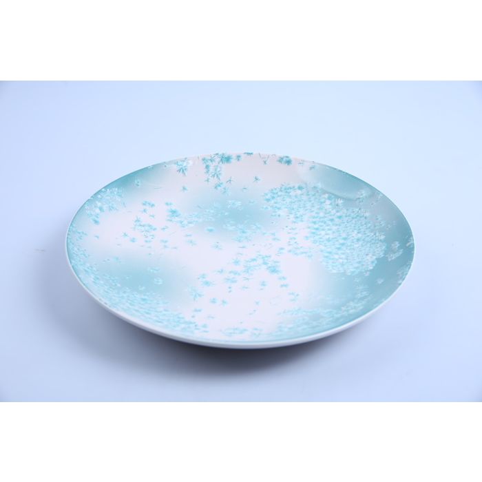 Assiette Plate - MPPP - Ronde - Porcelaine - 30cm-Vert/Blanc
