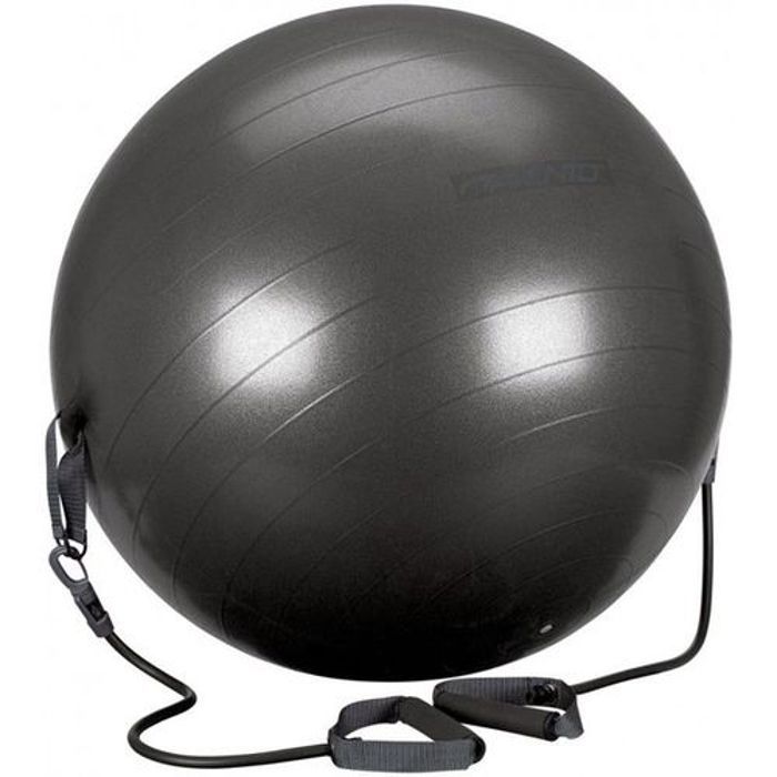 Dynamic Ballon de gym avec poignées Plus Pompe a Main Inclus