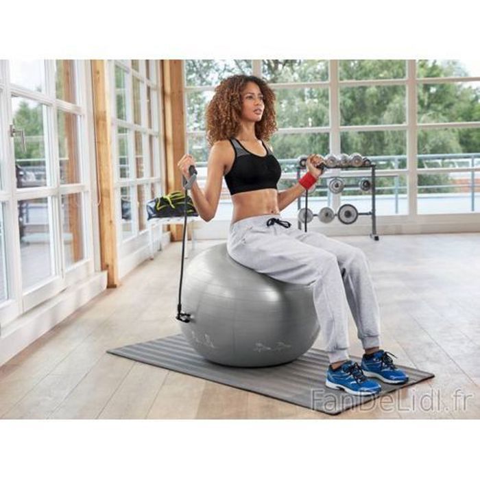 Dynamic Balle de GYM Avec Bandes Extensibles Plus Pompe a Main Gym Ball