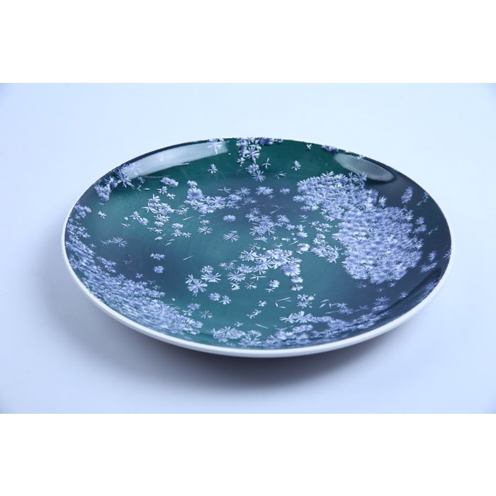 Assiette Plate - MPPP - Ronde - Porcelaine - 30cm-Vert