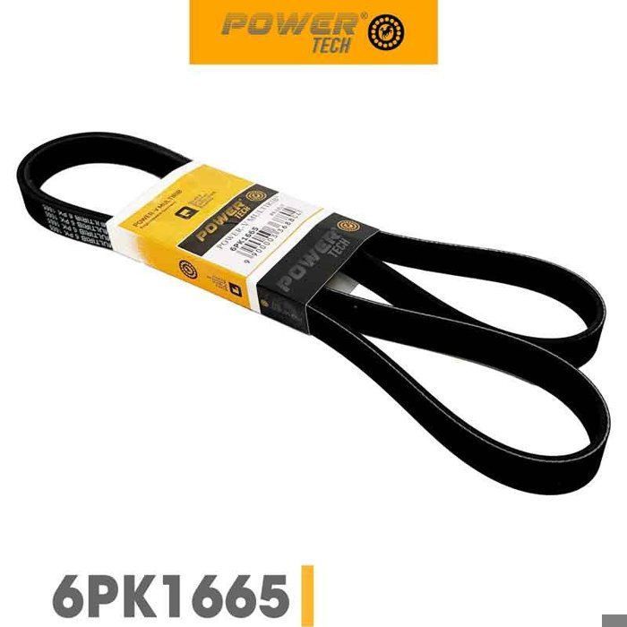 POWERTECH 6PK1665 COURROIE TRAPEZOIDALE A NERVURES