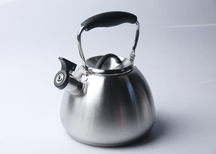 Bouilloire Sifflante 2,5 L avec Poignée Noire Pliable