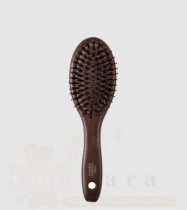 combo paddle brush mini