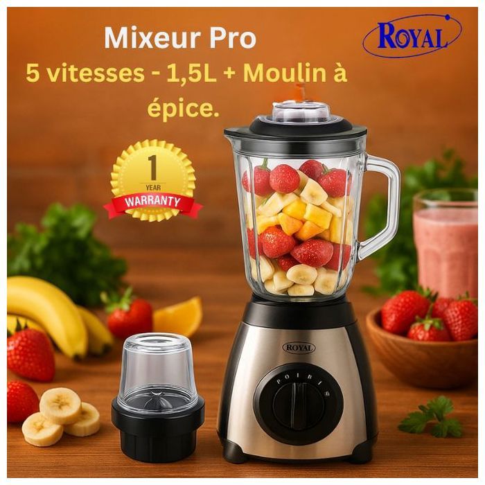 Mixeur Pro - Royal - BL66-GS - 6 Vitesses - 1,5 Litre - Moulin à épices inclus