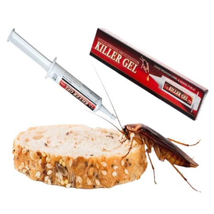 Gel Anti-cafards - Efficace - Insecticide - Appât Spécial - Application Précise - Protection Durable