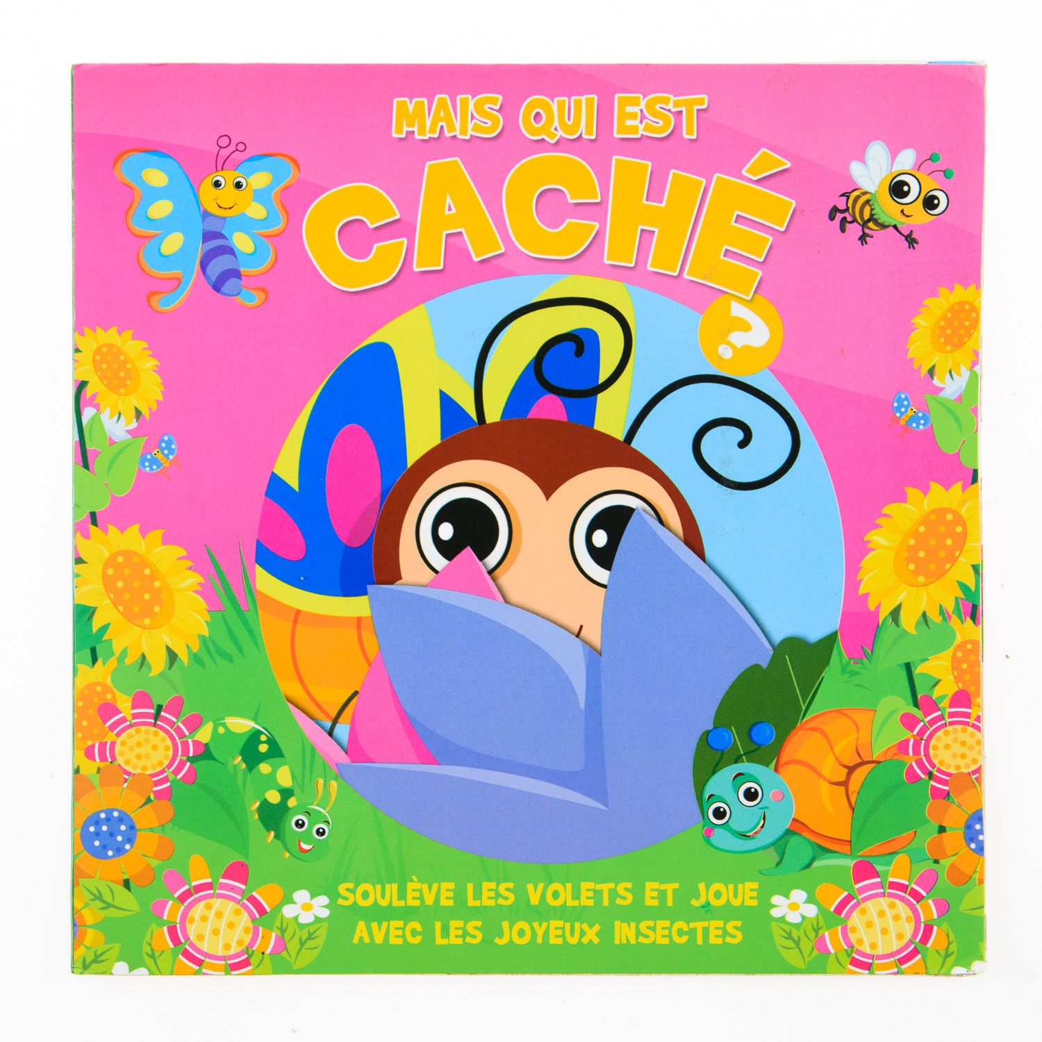 Qui Suis-Je Qui Est Caché Les Joyeux Insectes