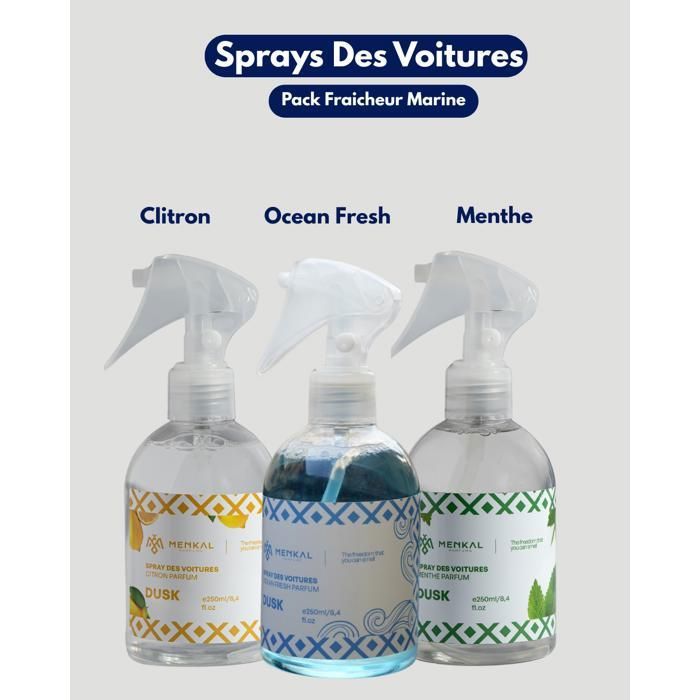 Spray-Pack de 3 Sprays Voiture Fraicheur Marine – 250 ml chacun