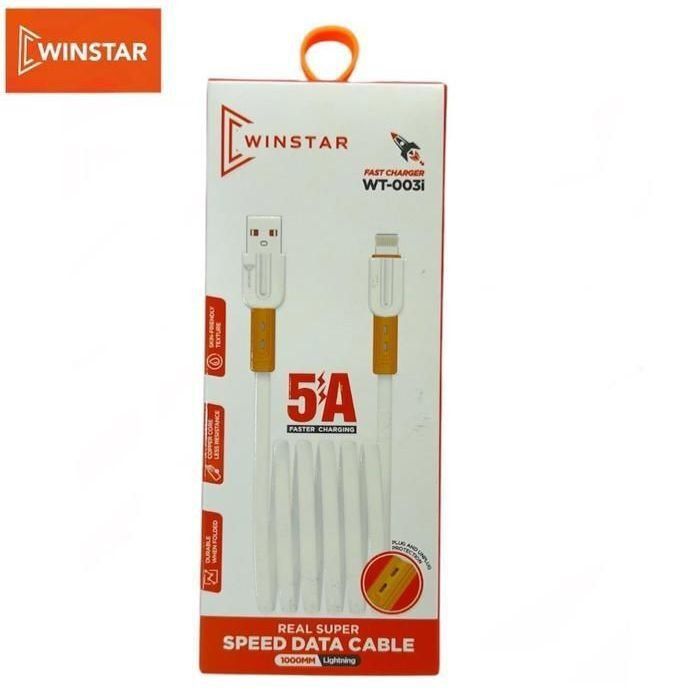 Câble de données - WINSTAR - WT-003i - 1000mm - Lightning - Noir