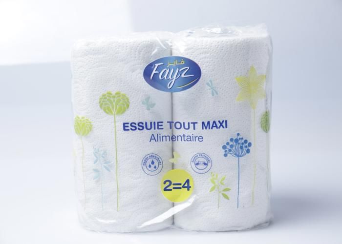 Essuie-Tout Prdt Ecomaxi 2=4 Fayz
