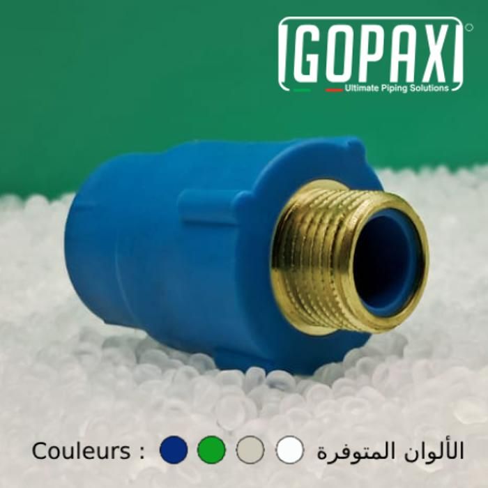 Raccord mâle - IGOPAXI - 20mm * 1/2" - Pack de 10 pièces - Polypropylène - Mâle fixe