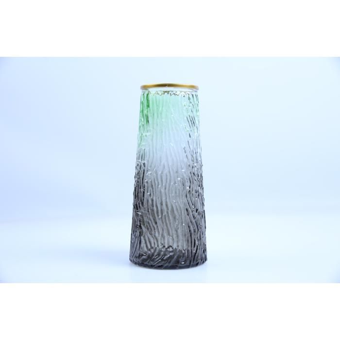 Vase en Verre 10 x 22,5 cm MW027545