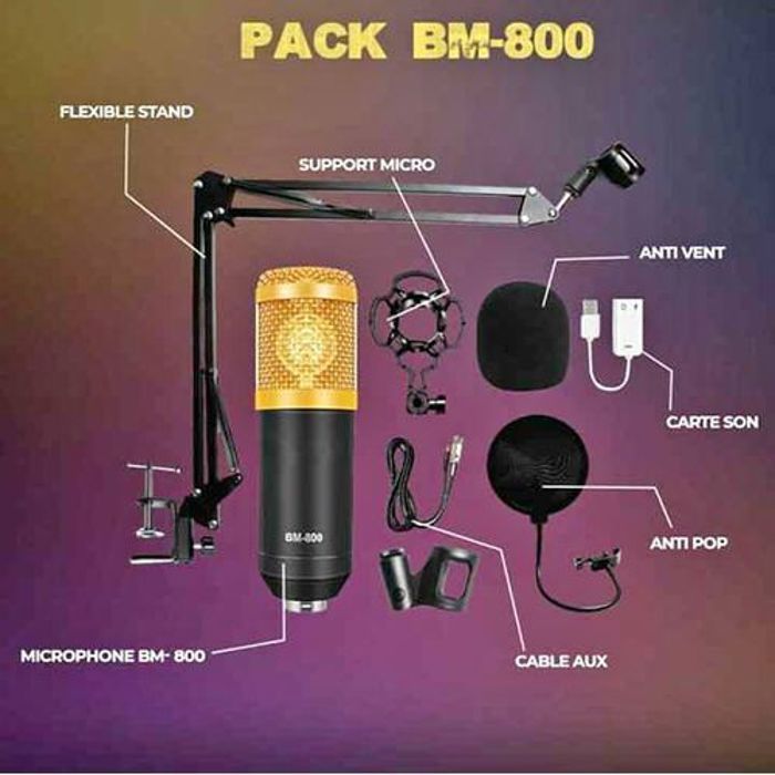 Condenser Microphone Broadcasting Studio professionnel BM-800