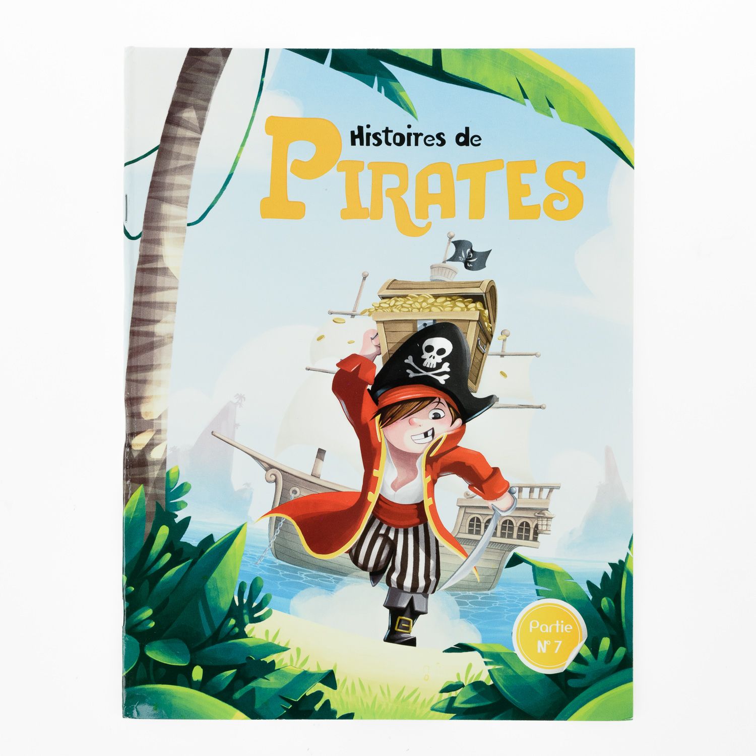 Histoire De Pirates 7