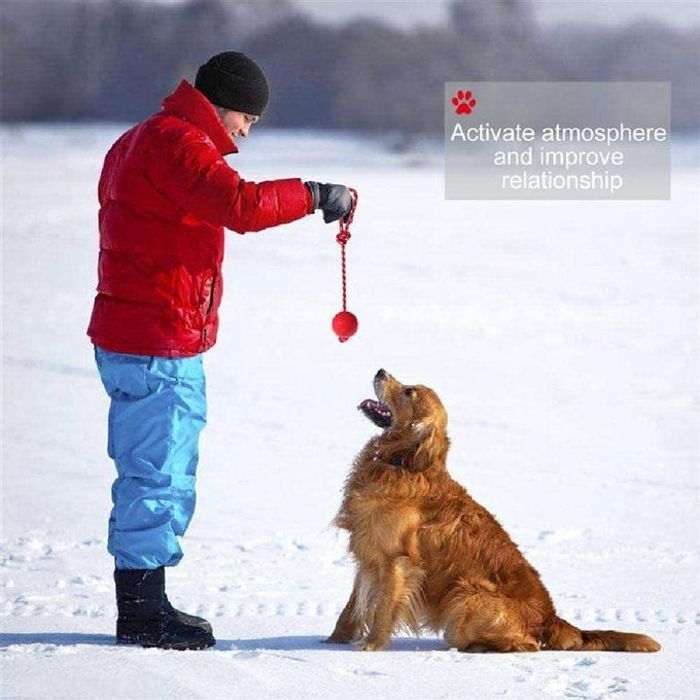 Jouet interactif - GENERIC - Balle de Chien - Caoutchouc et Nylon - Taille L - Rouge
