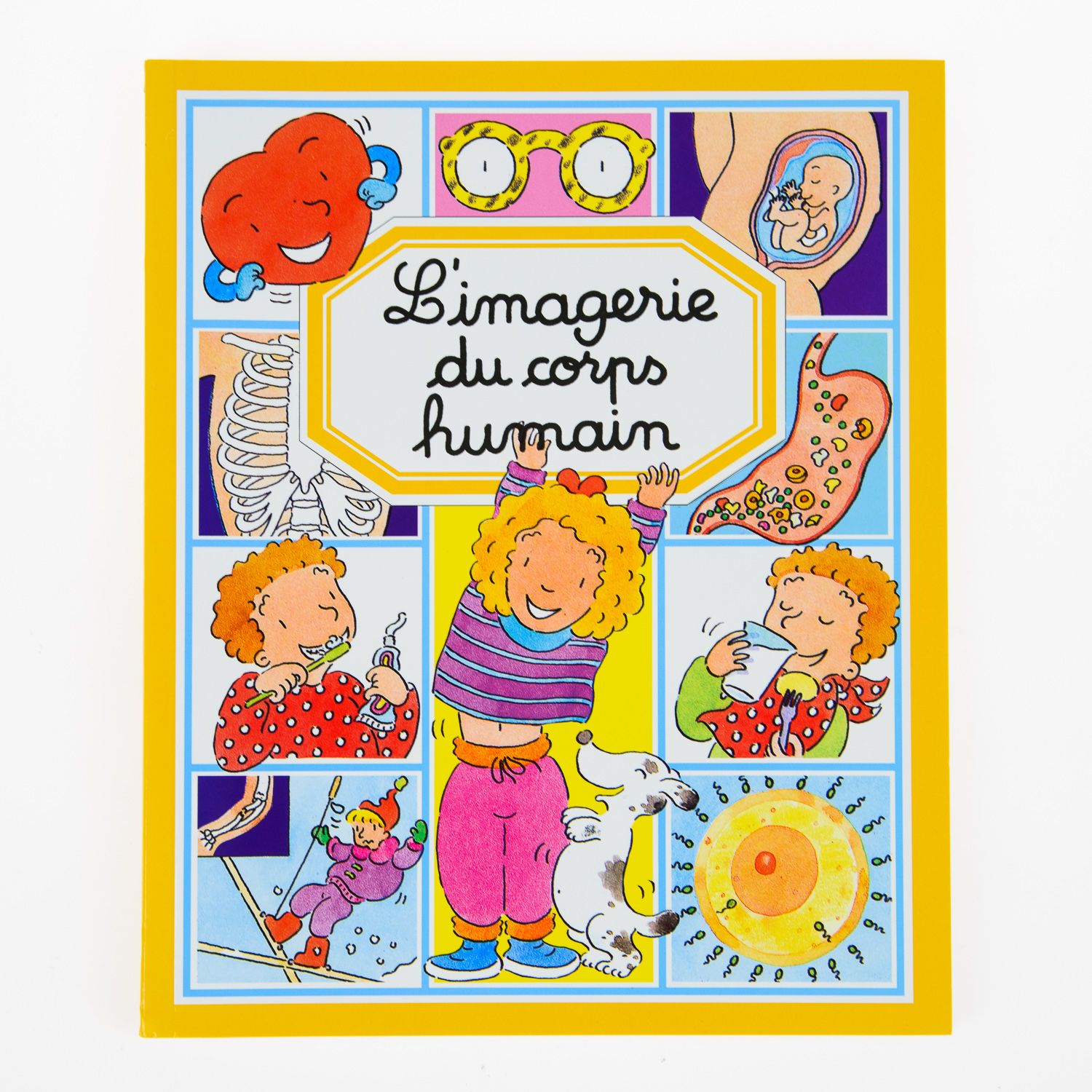 L’Imagerie Du Corps Humain