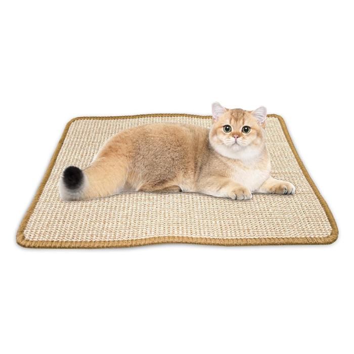 Tapis Griffoir pour Chat - Protection de Meubles et Soin des Griffes