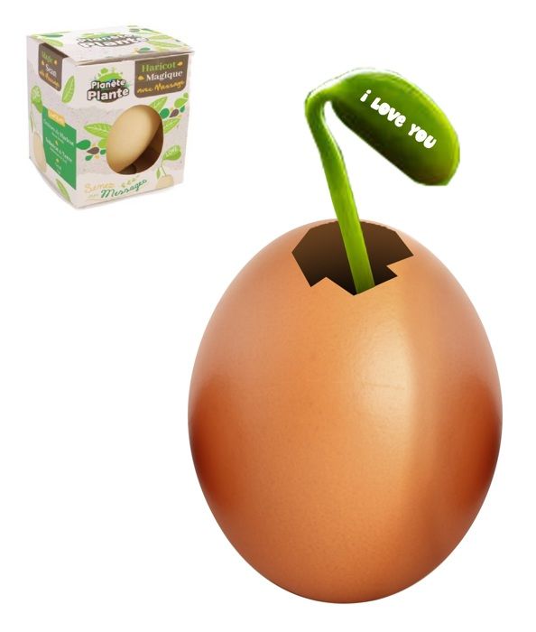 OEUF AVEC MESSAGES SECRETS  - AVEC GRAINES ET SUBSTRAT - 21X9.5X21 cm