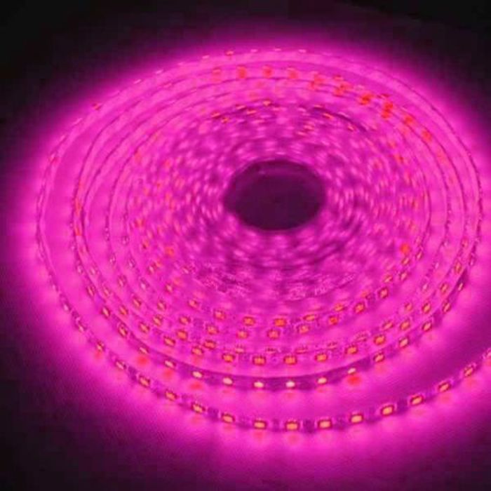 Led Film 5M 12V Et 220V Rose