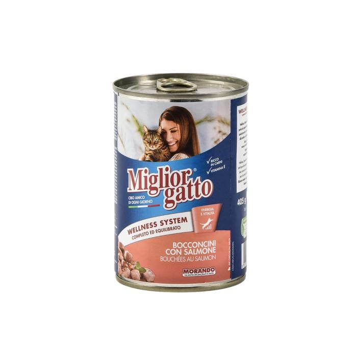 CHAT SAUMON 405G 2157 MORANDO