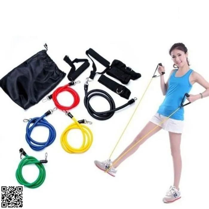 Bandes d'Exercice - Non spécifié - Ensemble de 5 Pièces - 5 Niveaux de Résistance - Portable - Mixte