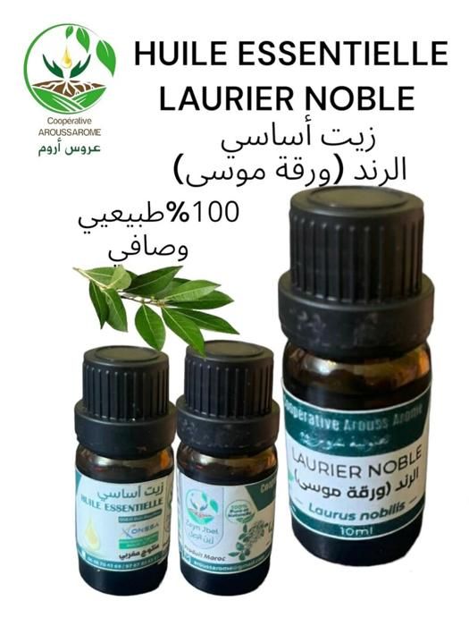 HUILE ESSENTIELLE LAURIER 10ML