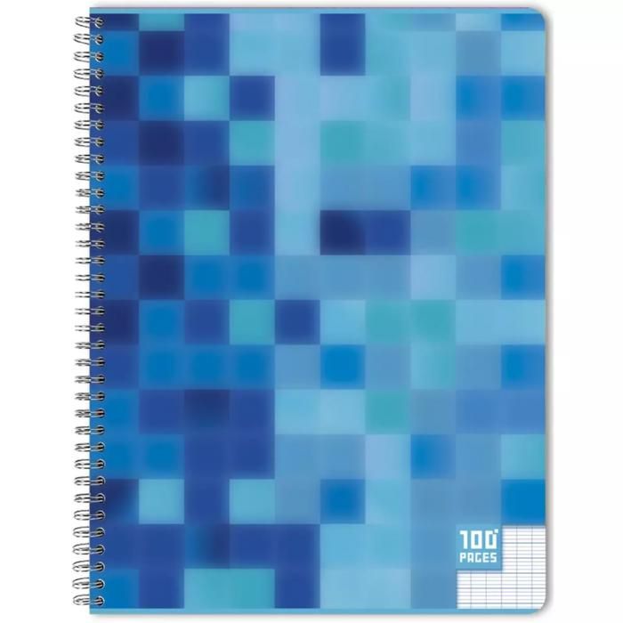 CAHIER RELIURE 170X220CM 100P 5X5 90G AUCHAN