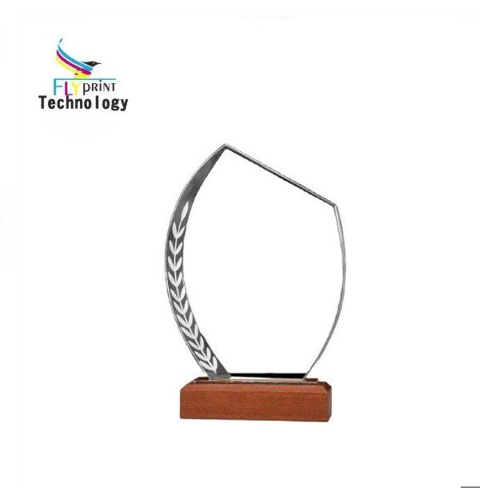 Trophée personnalisable - Non spécifié - Verre et Bois - Gravure laser - Dimensions 21,6x12,8 cm - Couleur Clair
