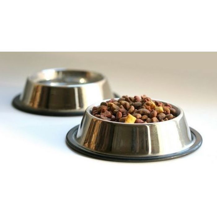 Gamelle pour animaux - Inox - 19 cm - Antidérapante - Multicolore - Rond