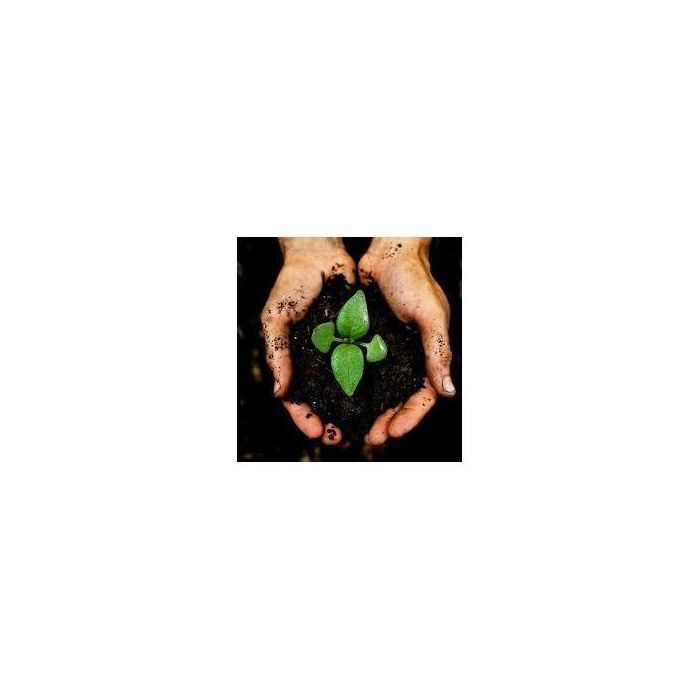 Terreau Universel, tourbe terre - 20L, substrat universel