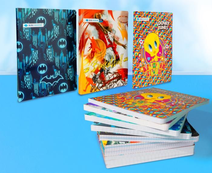 Cahier Broché 384 Pages