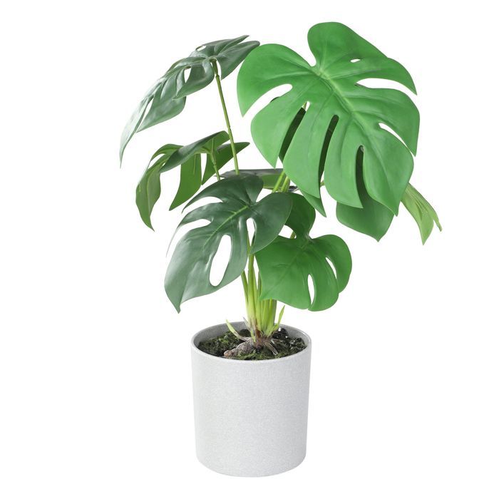 Plante en pot - EGLO - Diam. 30 cm - Hauteur 42 cm - Gris-vert - Plastique