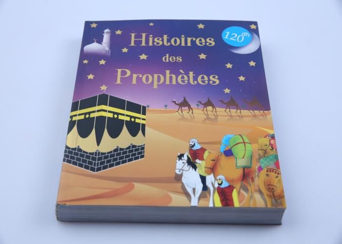 Livre Éducatif - GENERIC - Histoires des Prophètes Album - Illustrations - Accessible - Spirituel