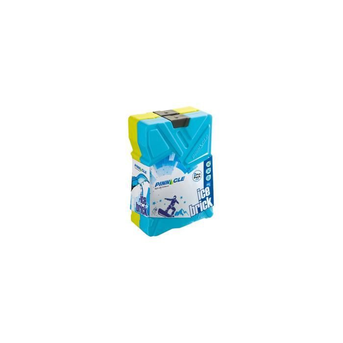 ACCUMULATEUR DE FROID 2 x 600 GRMS PINACLE