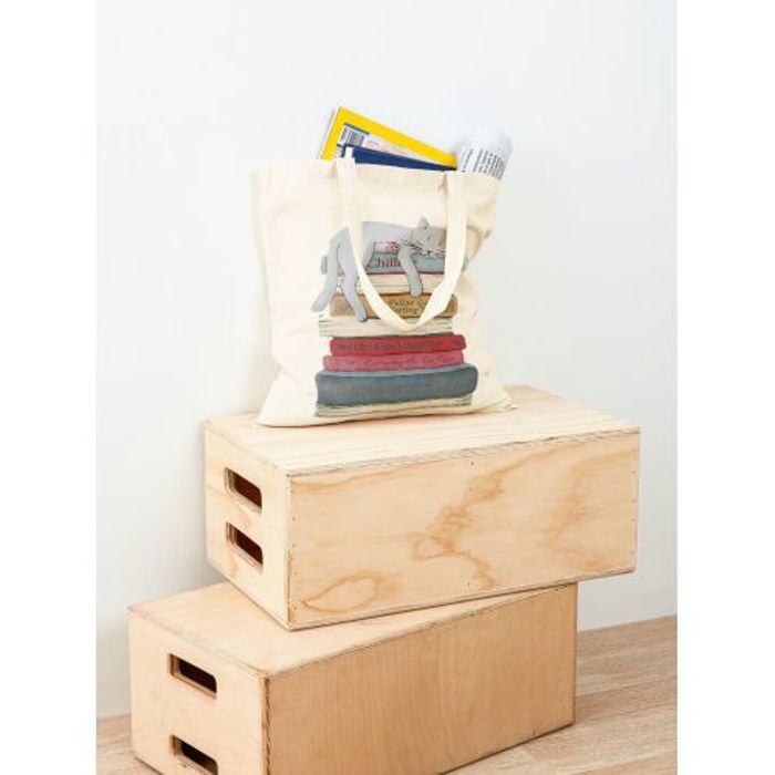 Sleeping cat on books Tote bag classique