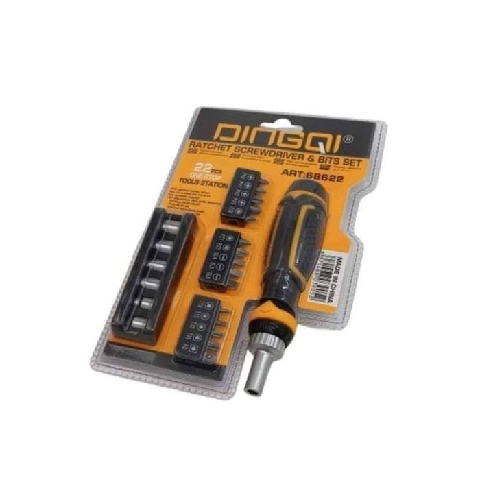Tournevis polyvalent dingqi 22pcs