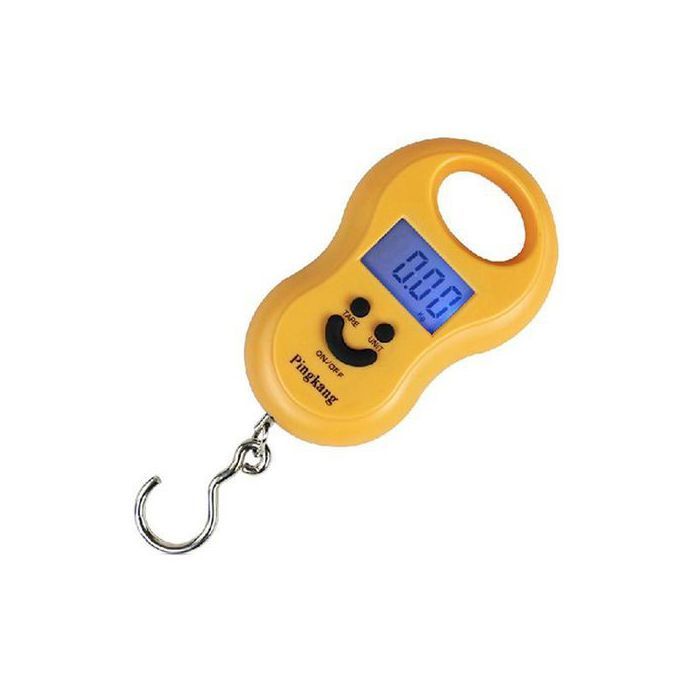 Pèse-bagages électronique numérique 50kg