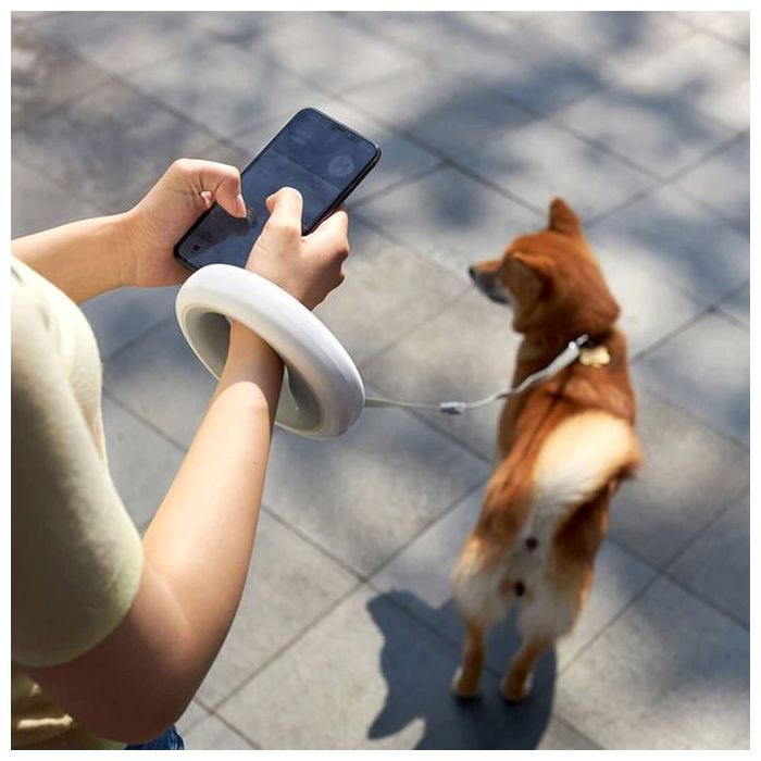 Laisse rétractable pour chien à LED avec frein à une main et lumière LED rechargeable pour chiens