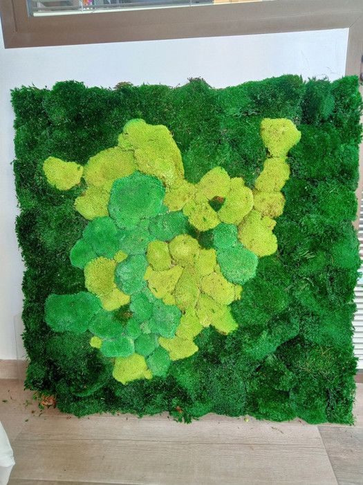 Mur Végétal Premium En Mosse, Mesure 100x100cm - DarNowar