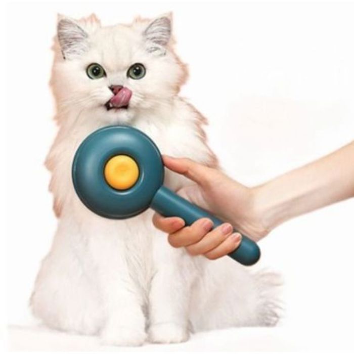 Brosse D'épilation Outil Pour Enlever Les Poils D'animaux Pour Chien et Chat