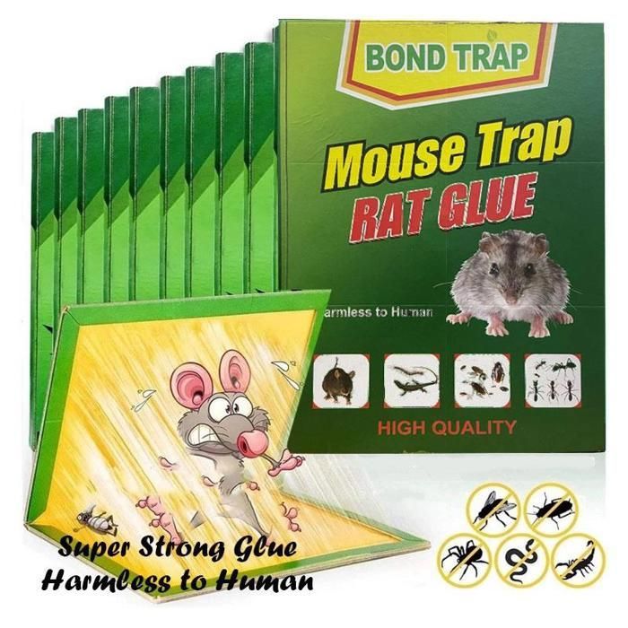 Piège à colle - Efficace - 5 PCS - Sécurisé pour humains et animaux - Longue durée - Écologique, couleur aliatoire