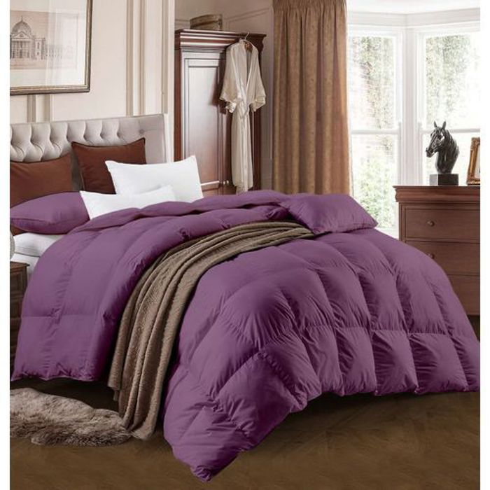 Couette - DWIRTY - Violet - Micro-gel Antiallergique - 220x240cm - 2TO Offerts