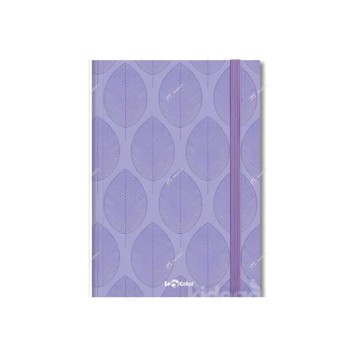 Color Notebook Violet à rayures 192 pages
