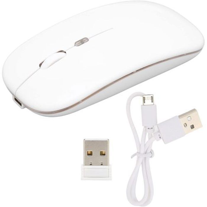 Souris sans Fil, Souris d'ordinateur Bluetooth 2,4 GHz, chargement USB Clic muet