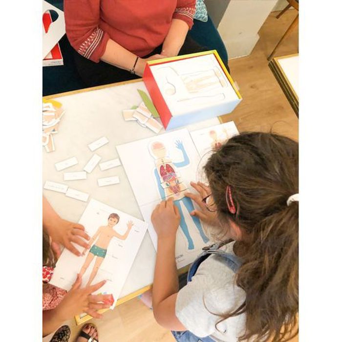 Jeu d'assemblage - CLEMENTONI - Coffret Montessori - Le corps humain - Cartes illustrées - À partir de 3 ans