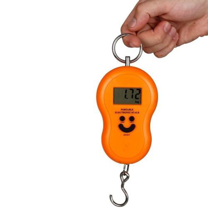 Balance de poche électronique pour bagages, Balance numérique portable Max 50 Kg