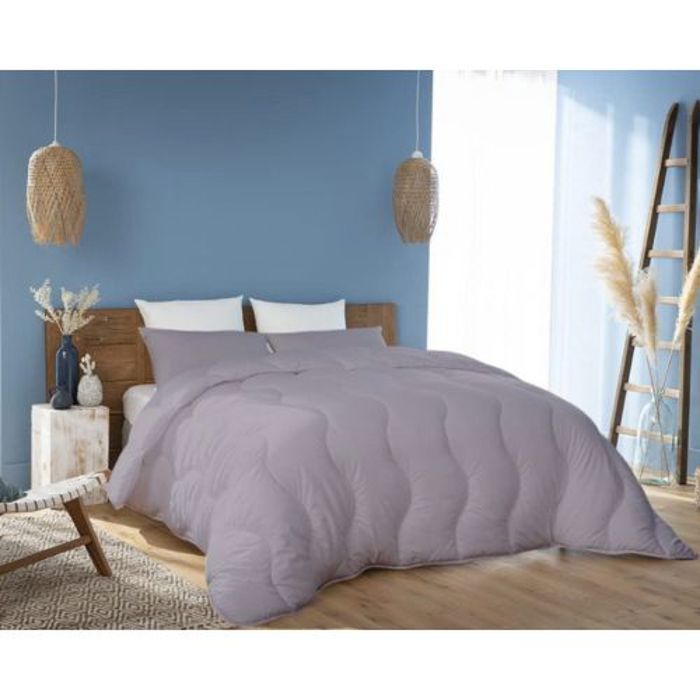 Couette - DWIRTY - Gris Clair - Microfibre Antiallergique - 240x260 cm - 2 Taies Offertes