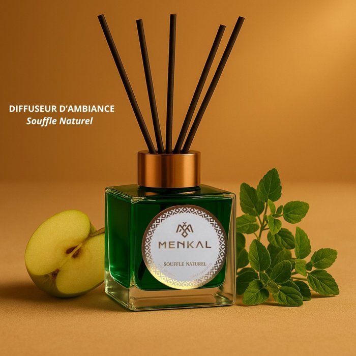 Diffuseur d’ambiance à bâtonnets arome Souffle Naturel 100 ml