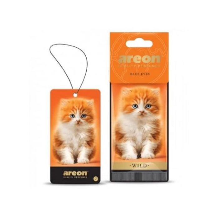 Areon FRESCO PARFUM DÉSODORISANT POUR VOITURE ET INTÉRIEUR blue eyes