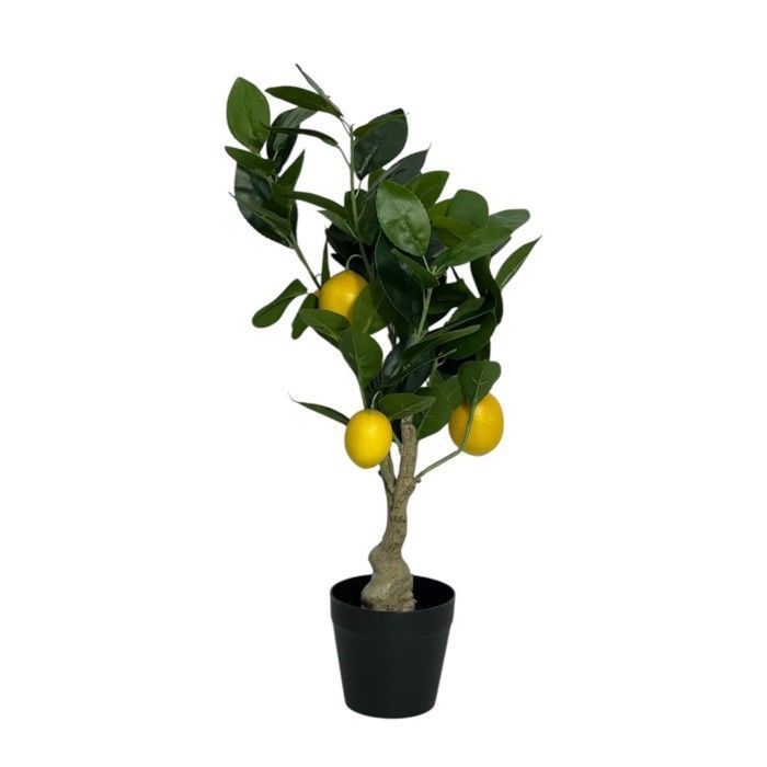Objet Décoratif - Acacia - Petit Arbre Citronnier Artificiel - 54 cm - Intérieur - Contemporain