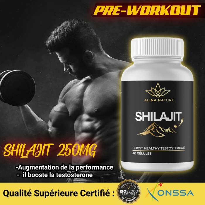 Shilajit - 40 Gélules puissance de la nature pour une vitalité optimale
